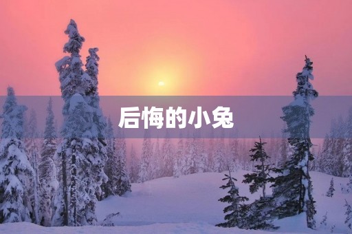 后悔的小兔 后悔的小兔