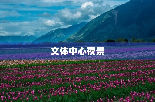 文体中心夜景 文体中心夜景