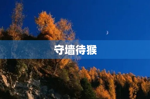 守墙待猴 守墙待猴