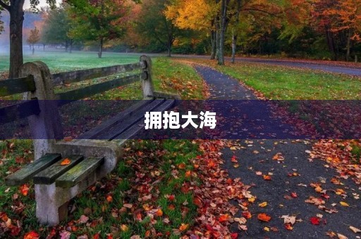 拥抱大海 拥抱大海