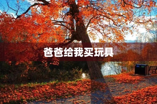 爸爸给我买玩具 爸爸给我买玩具