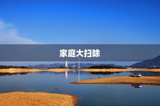 家庭大扫除 家庭大扫除