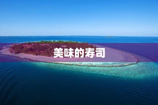 美味的寿司 美味的寿司