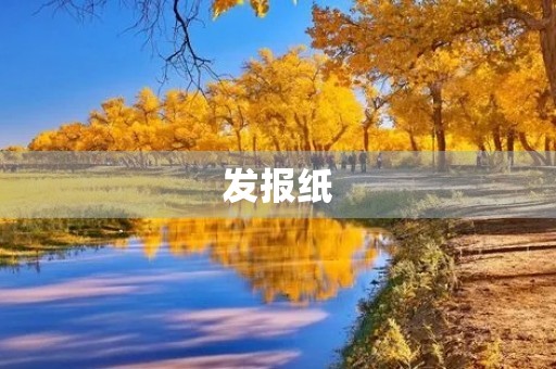 发报纸 发报纸