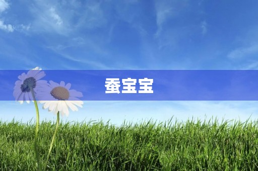 蚕宝宝 蚕宝宝