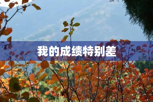 我的成绩特别差 我的成绩特别差