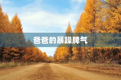 爸爸的暴躁脾气 爸爸的暴躁脾气