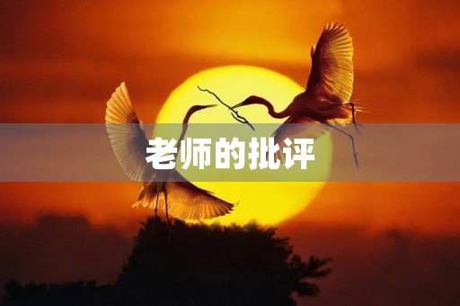 老师的批评 老师的批评