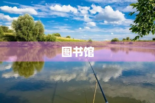 图书馆 图书馆