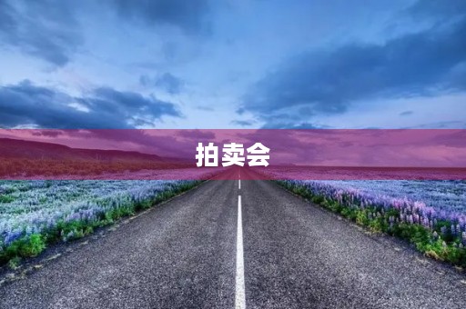 拍卖会