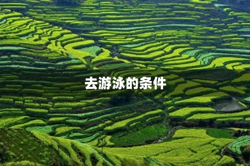 去游泳的条件 去游泳的条件