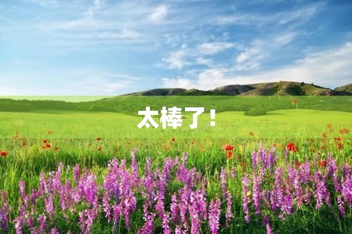 太棒了! 太棒了!