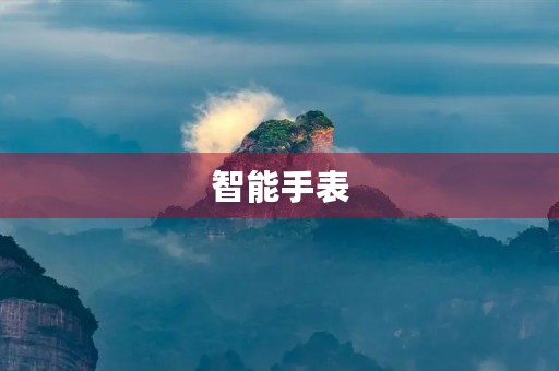 智能手表 智能手表
