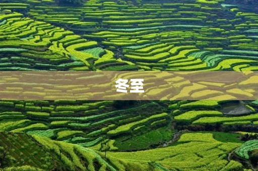 冬至 冬至