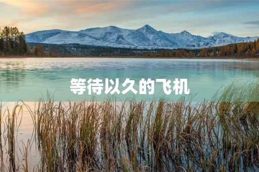 等待以久的飞机 等待以久的飞机