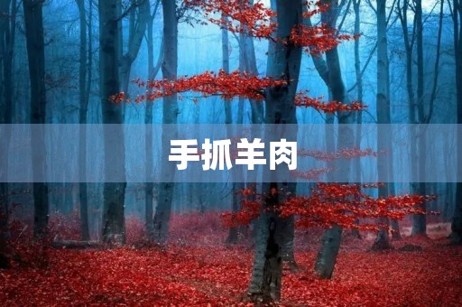 手抓羊肉 手抓羊肉