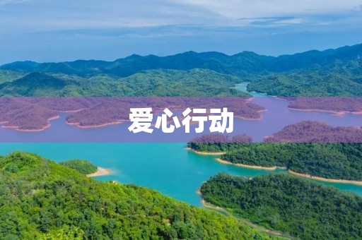 爱心行动 爱心行动
