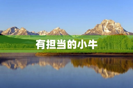 有担当的小牛 有担当的小牛