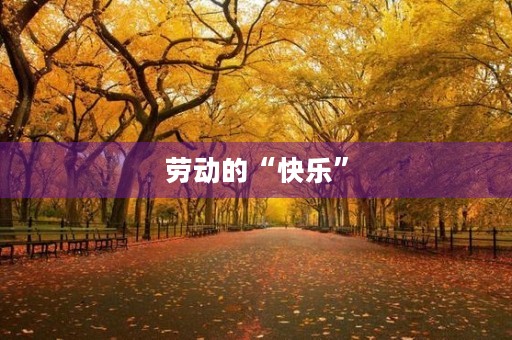 劳动的“快乐”