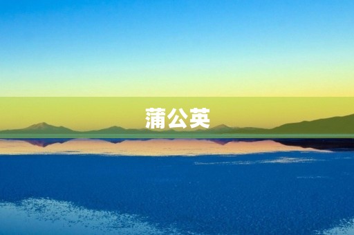 蒲公英 蒲公英