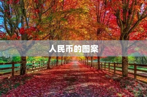 人民币的图案 人民币的图案