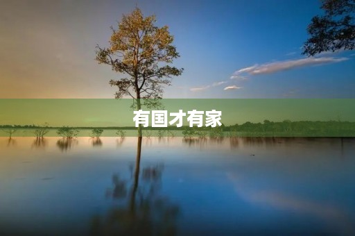 有国才有家