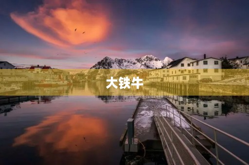 大铁牛 大铁牛