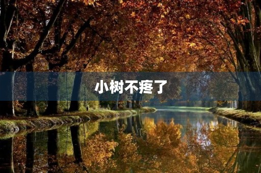 小树不疼了 小树不疼了