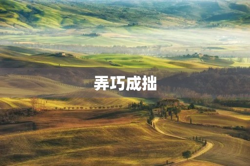 弄巧成拙 弄巧成拙
