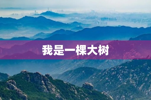 我是一棵大树 我是一棵大树