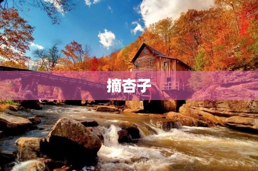 摘杏子