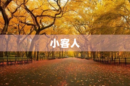 小客人