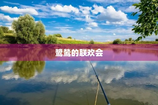 鹭鸶的联欢会 鹭鸶的联欢会