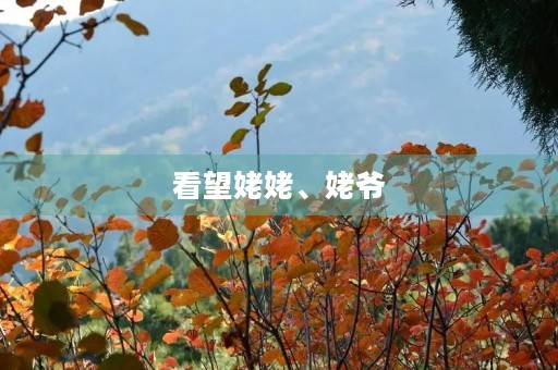 看望姥姥、姥爷 看望姥姥、姥爷