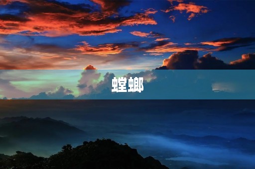 螳螂