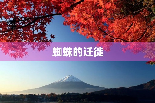 蜘蛛的迁徙 蜘蛛的迁徙