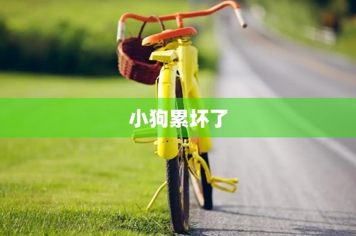 小狗累坏了 小狗累坏了