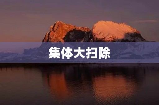 集体大扫除 集体大扫除