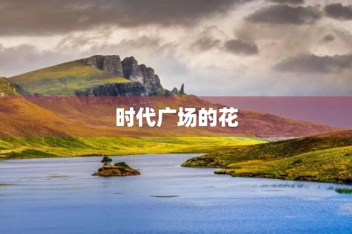 时代广场的花 时代广场的花