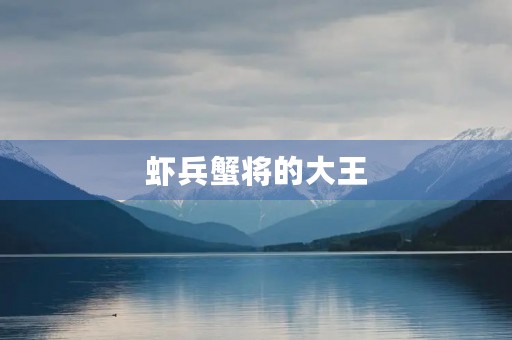虾兵蟹将的大王 虾兵蟹将的大王