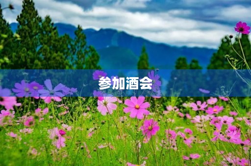 参加酒会 参加酒会