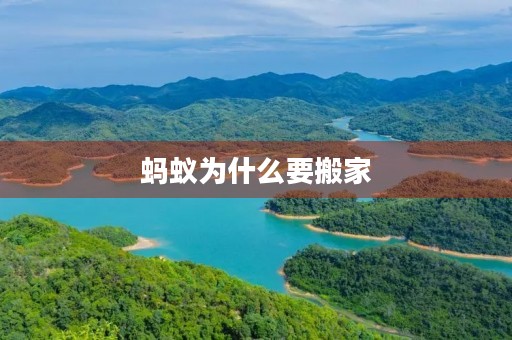 蚂蚁为什么要搬家 蚂蚁为什么要搬家