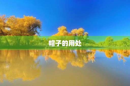 帽子的用处 帽子的用处
