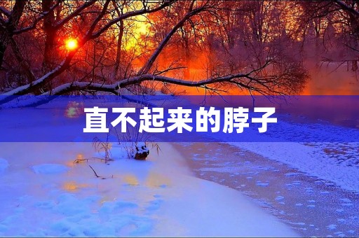 直不起来的脖子 直不起来的脖子