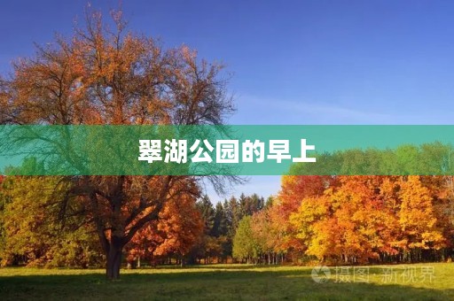 翠湖公园的早上 翠湖公园的早上