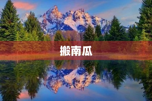 搬南瓜 搬南瓜