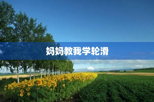 妈妈教我学轮滑 妈妈教我学轮滑