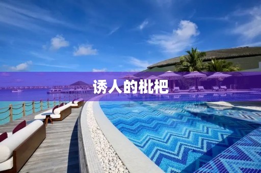 诱人的枇杷