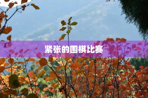紧张的围棋比赛