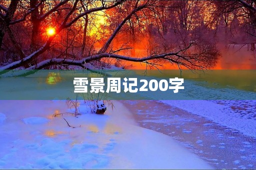 雪景周记200字
